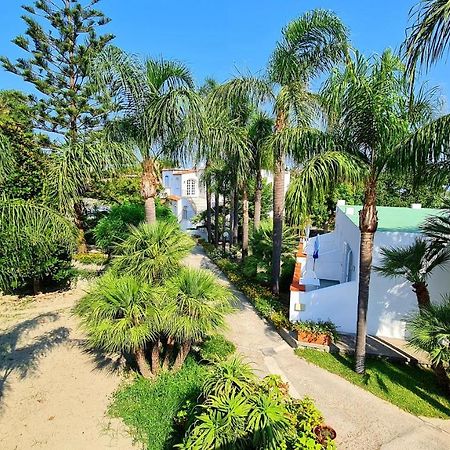 Bed and Breakfast Cocos Park Ischia Forio di Ischia Esterno foto