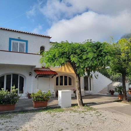 Bed and Breakfast Cocos Park Ischia Forio di Ischia Esterno foto