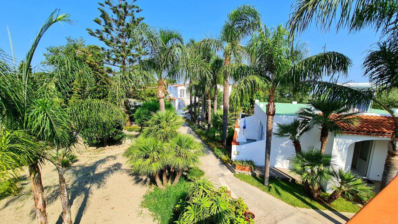 Bed and Breakfast Cocos Park Ischia Forio di Ischia Esterno foto