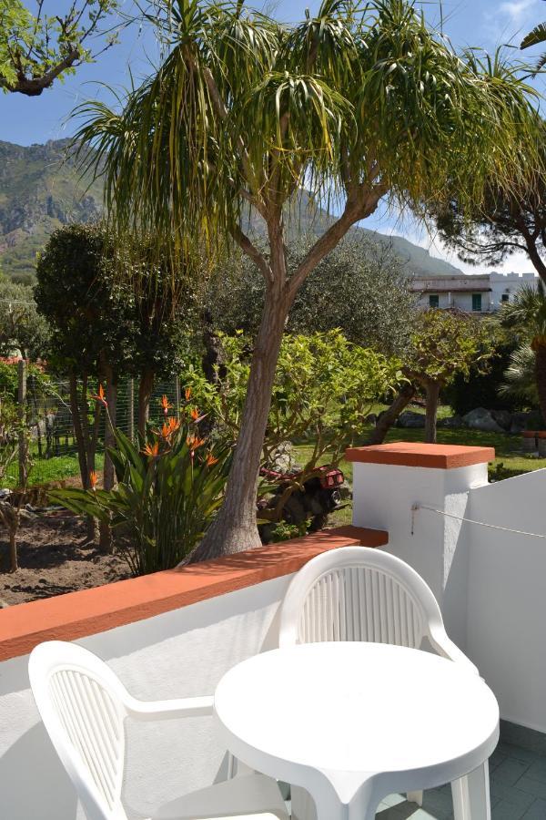 Bed and Breakfast Cocos Park Ischia Forio di Ischia Esterno foto