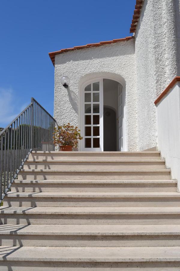 Bed and Breakfast Cocos Park Ischia Forio di Ischia Esterno foto