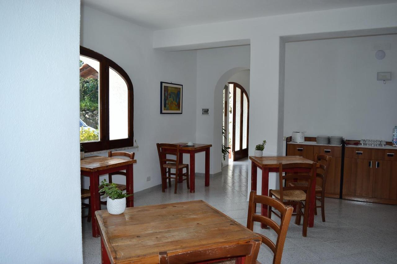 Bed and Breakfast Cocos Park Ischia Forio di Ischia Esterno foto