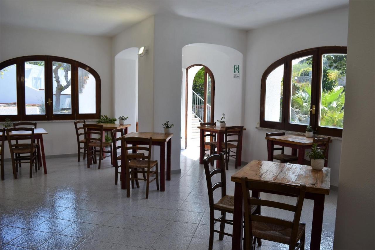 Bed and Breakfast Cocos Park Ischia Forio di Ischia Esterno foto