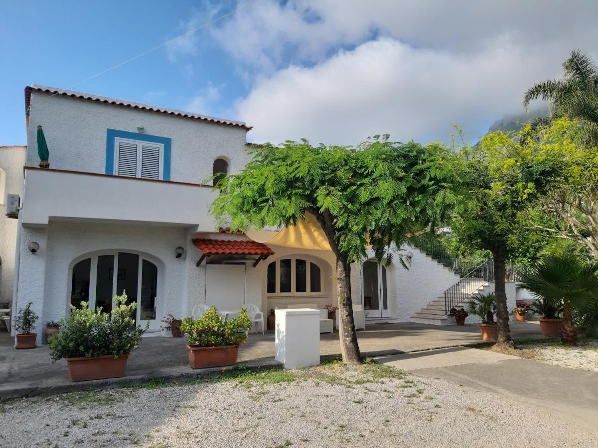 Bed and Breakfast Cocos Park Ischia Forio di Ischia Esterno foto